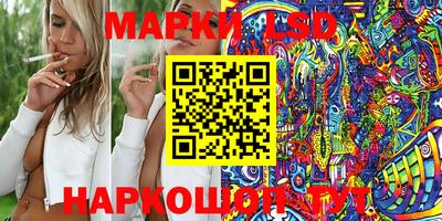 гидропоника Будённовск