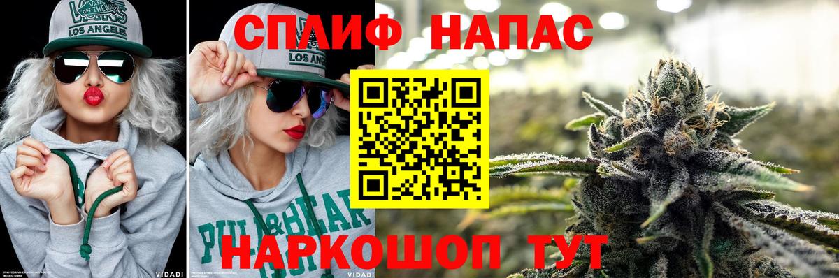 Томск  Бошки Шишки тримм  Бошки Шишки план  Шишки марихуана THC 21%  Вход с VPN 